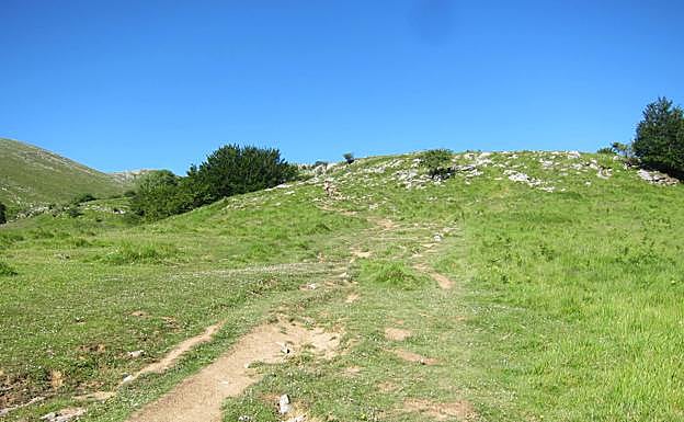 Galería. Verdes pastos camino de la cumbre.