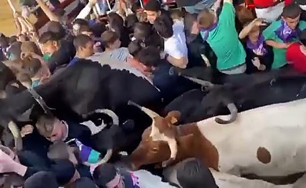 Embestida de las vaquillas a los jóvenes en el callejón de la plaza de toros de Arrasate.