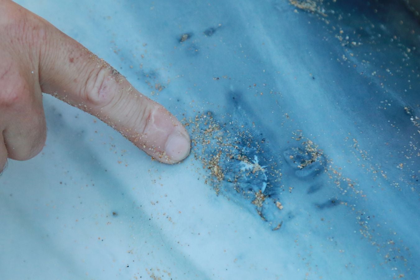 Varios jóvenes han intentado sin éxito devolver el ejemplar al mar