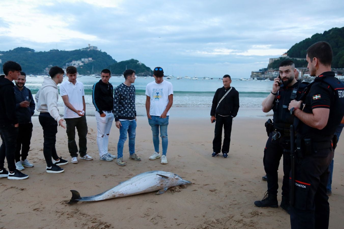 Varios jóvenes han intentado sin éxito devolver el ejemplar al mar