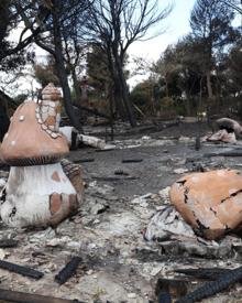 Imagen secundaria 2 - Daños por la ola de incendios en Navarra: Sendaviva reabrirá en verano de forma parcial