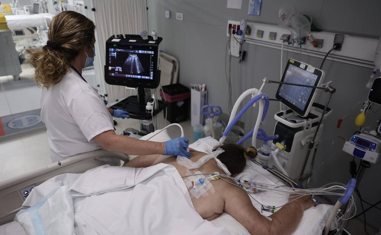 Una enfermera hace una ecografía a un enfermo de Covid-19. 