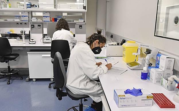 El sector biosanitario de Euskadi vive un momento dulce y dispara su facturación y empleo