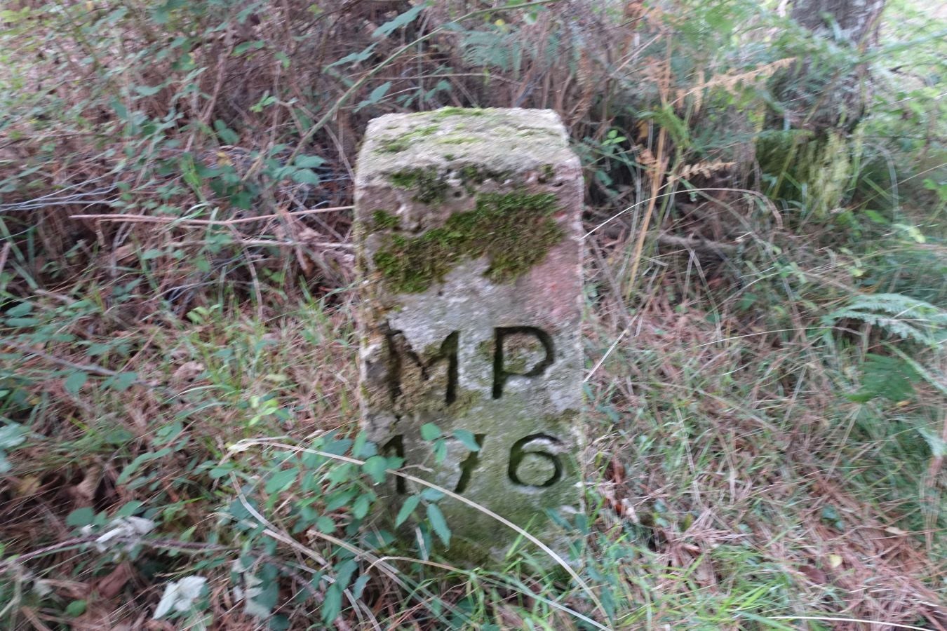 Fotos: Urdaburu, por caminos prehistóricos