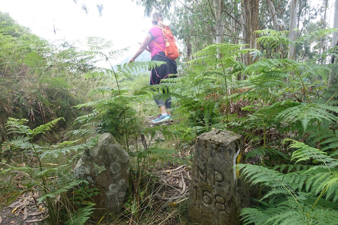 Fotos: Urdaburu, por caminos prehistóricos