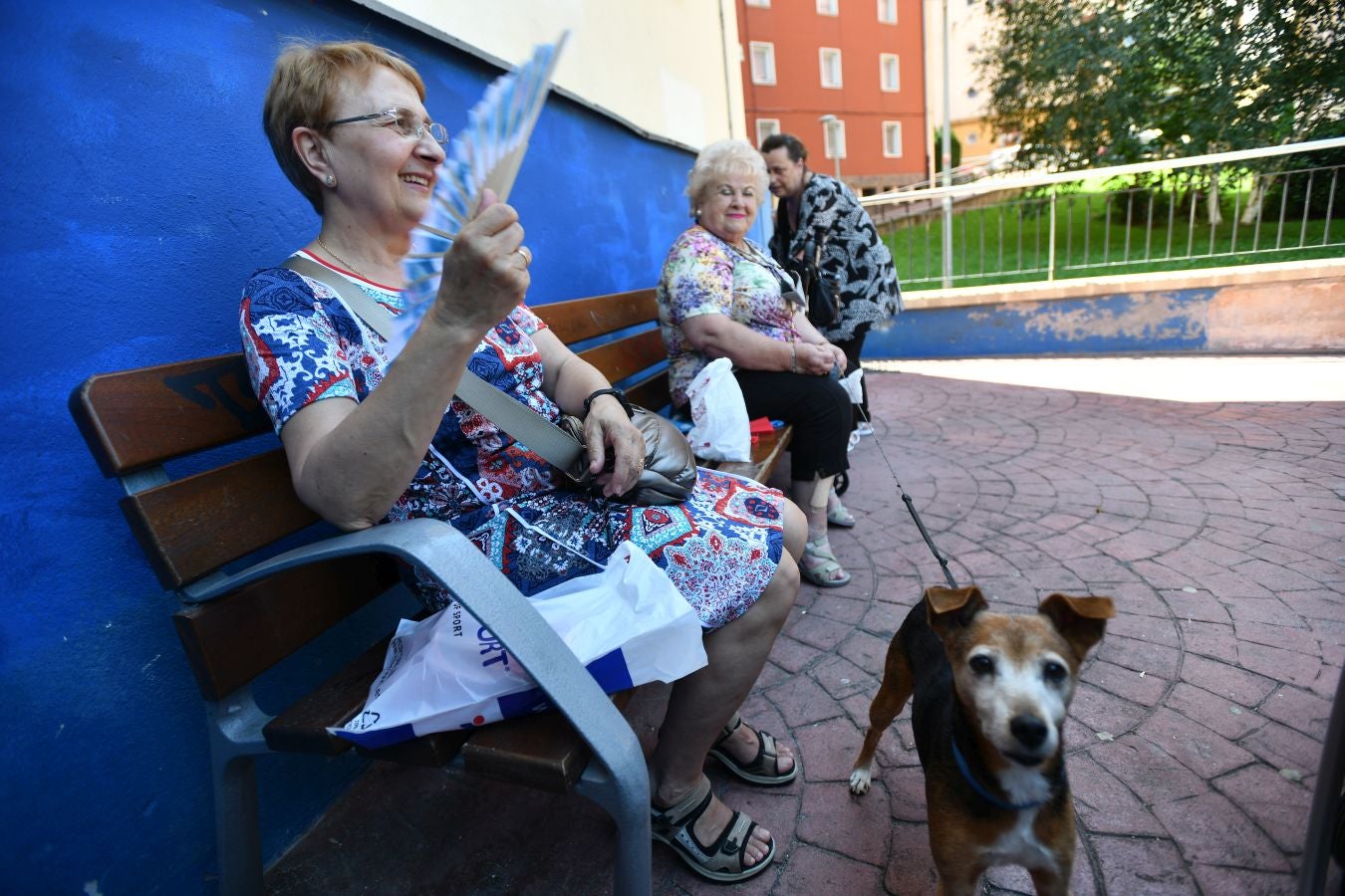 Fotos: Gipuzkoa se abrasa a más de 35ºC
