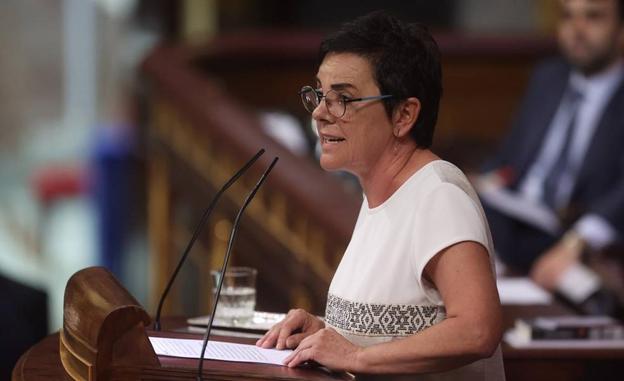 EH Bildu afirma en el Congreso que el dolor generado por ETA «nunca debió existir»