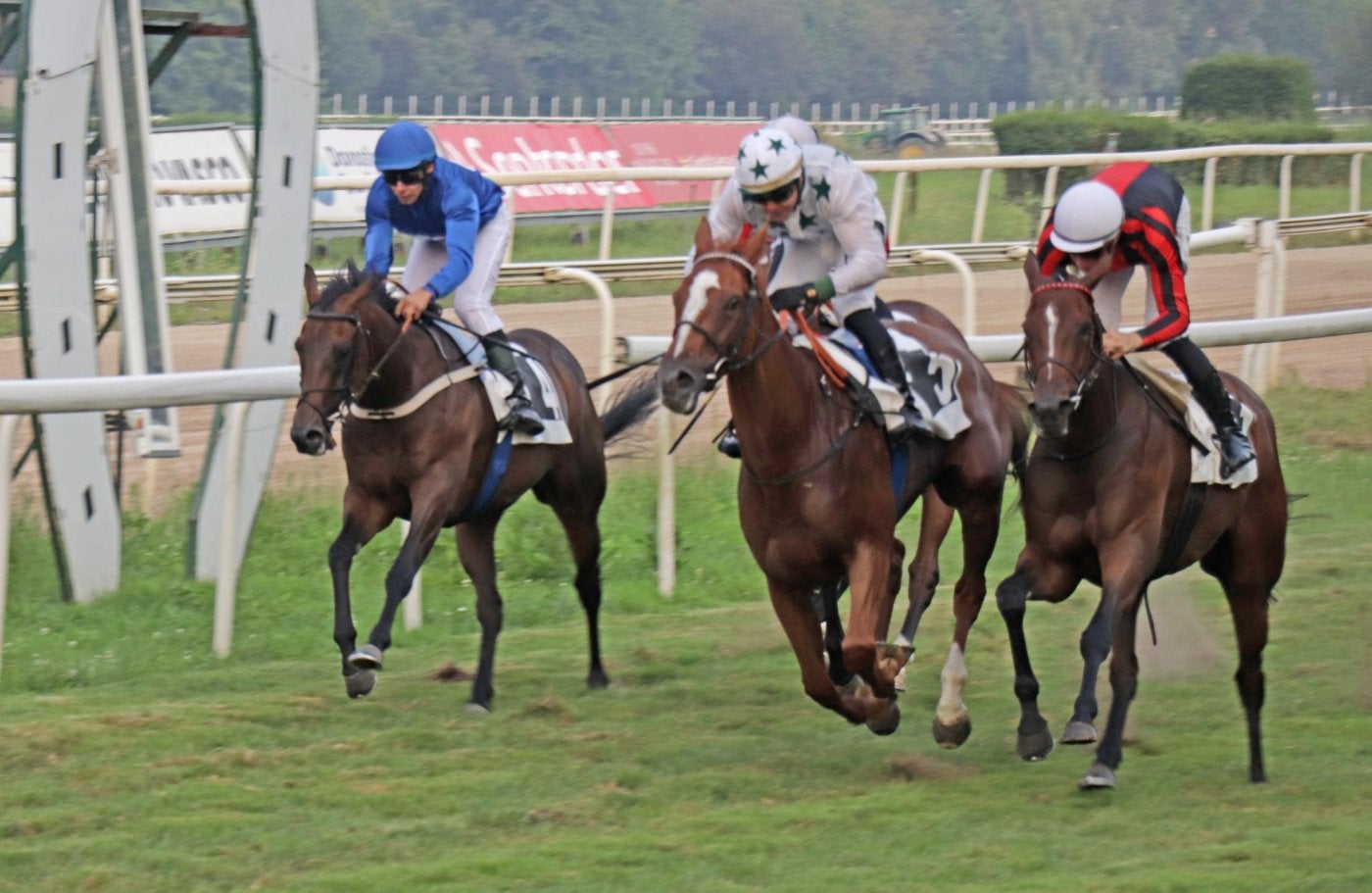 'Kennocha', 'Navia' y 'Cocklina', en la apretada llegada de este sábado. 