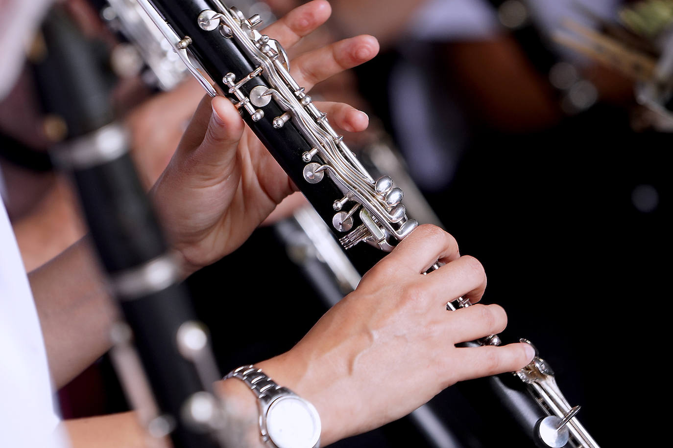 Fotos: Errenteria celebra su día grande