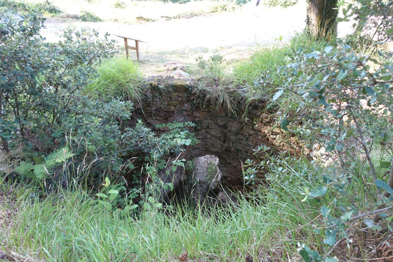 Fotos: Udalatx, impresionante regalo a la vista