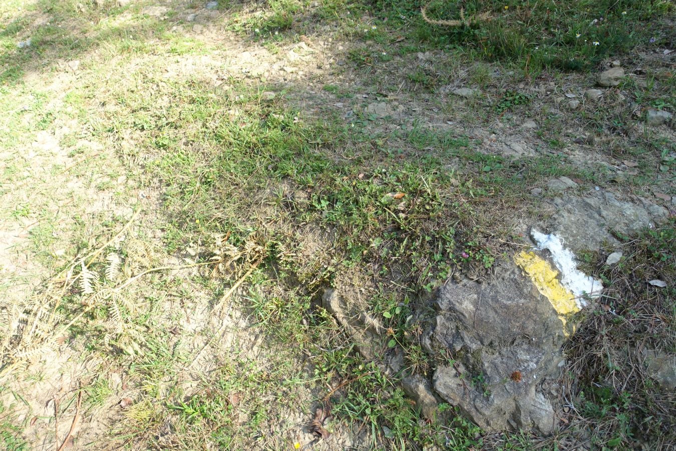 Fotos: Udalatx, impresionante regalo a la vista