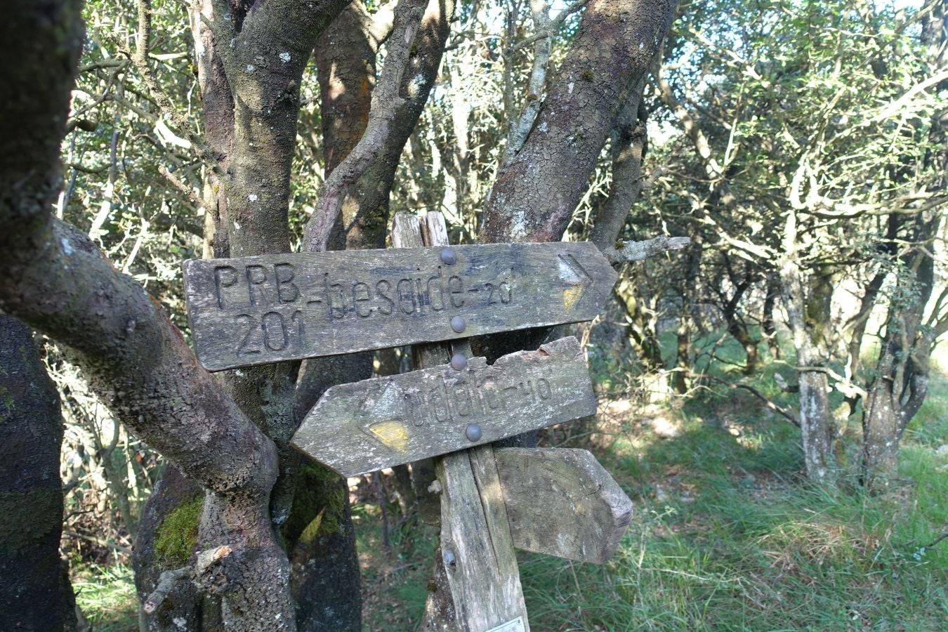 Fotos: Udalatx, impresionante regalo a la vista