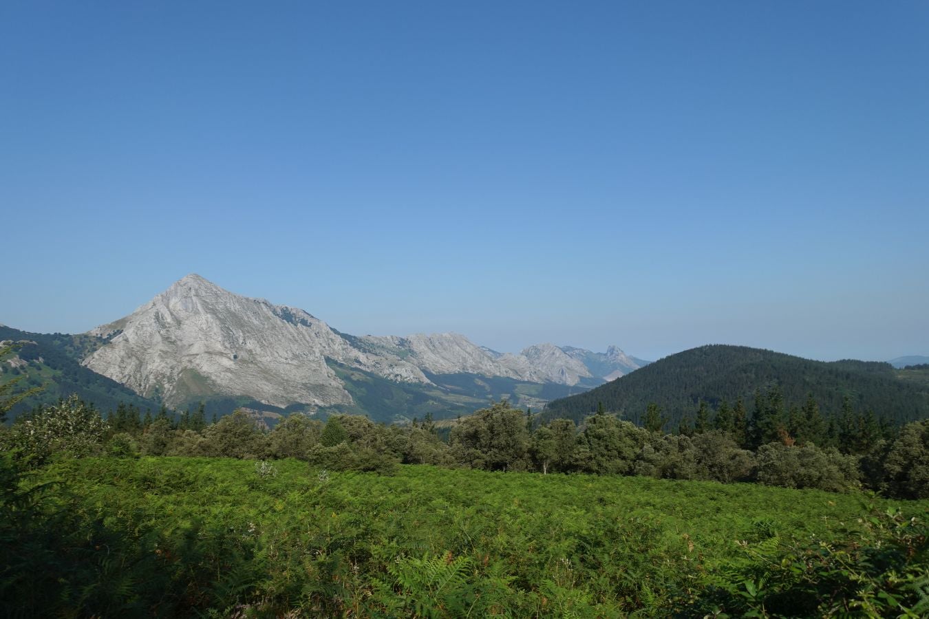 Fotos: Udalatx, impresionante regalo a la vista