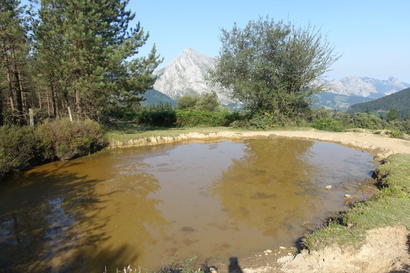 Fotos: Udalatx, impresionante regalo a la vista