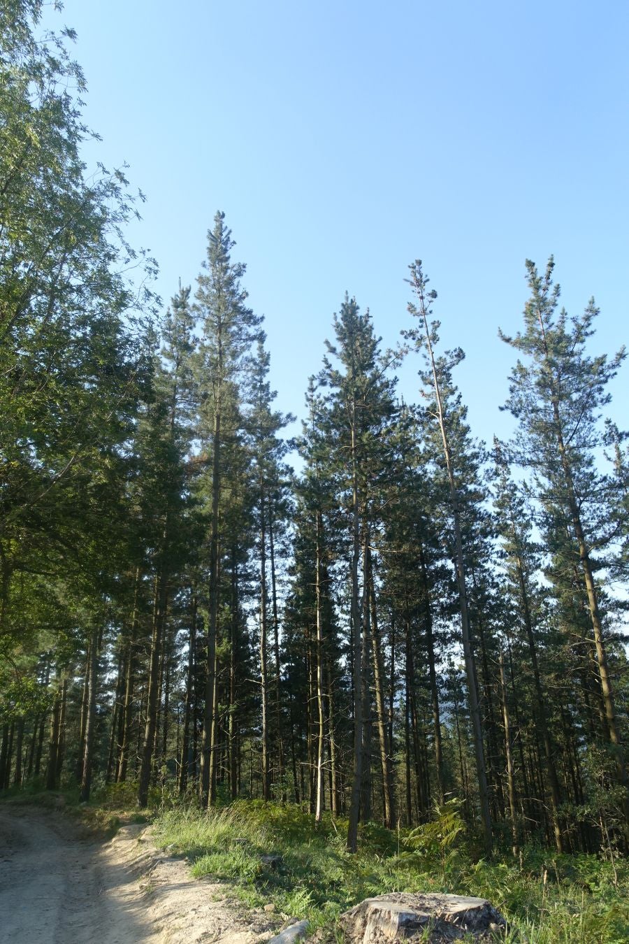 Fotos: Udalatx, impresionante regalo a la vista