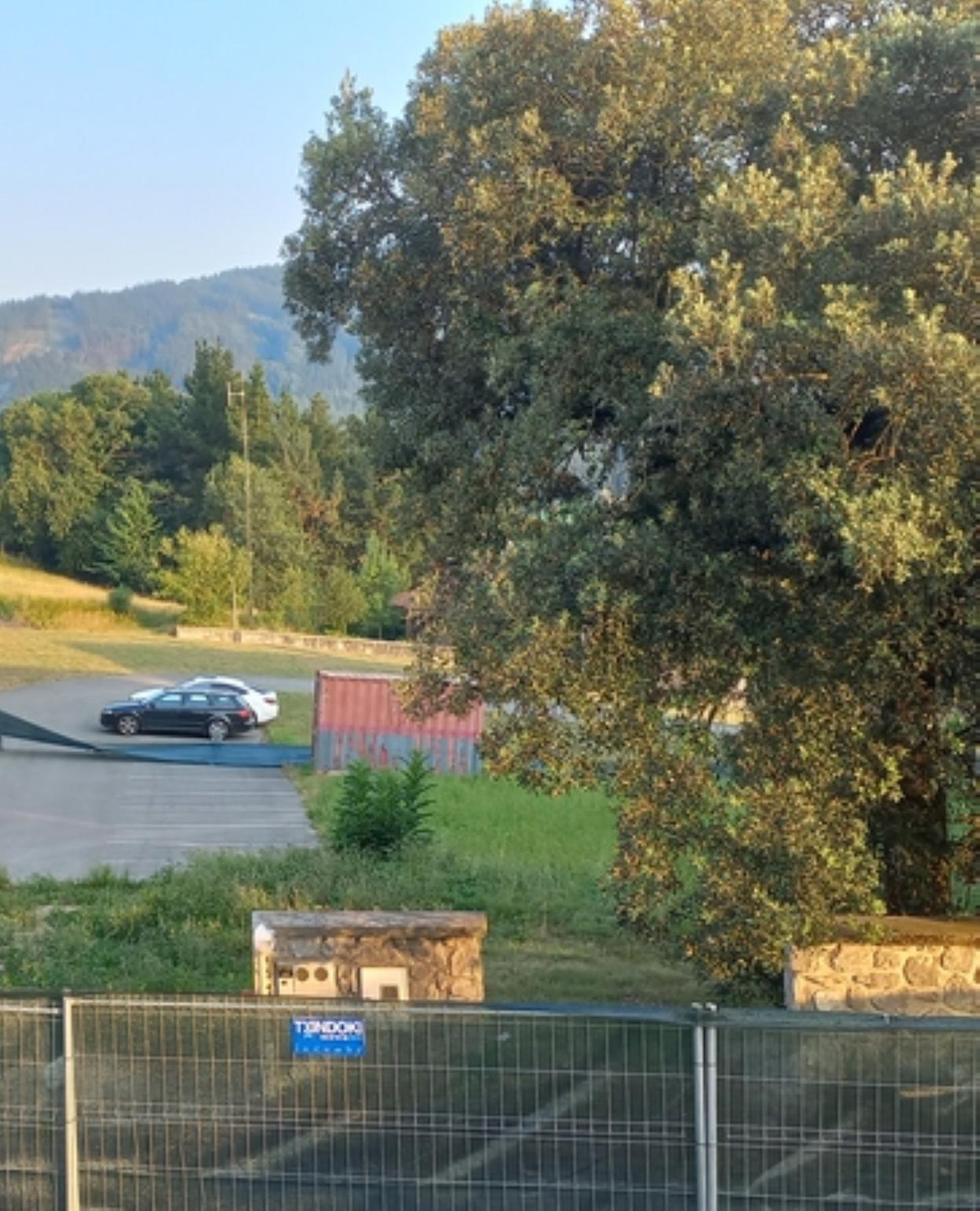 Olaberria: La encina de Elizegi Berri se llevará junto a la iglesia