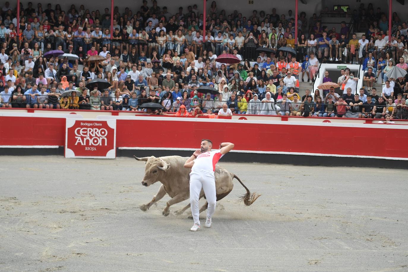 Fotos: Los recortadores y sus piruetas conquistan la Plaza de Toros de Azpeitia