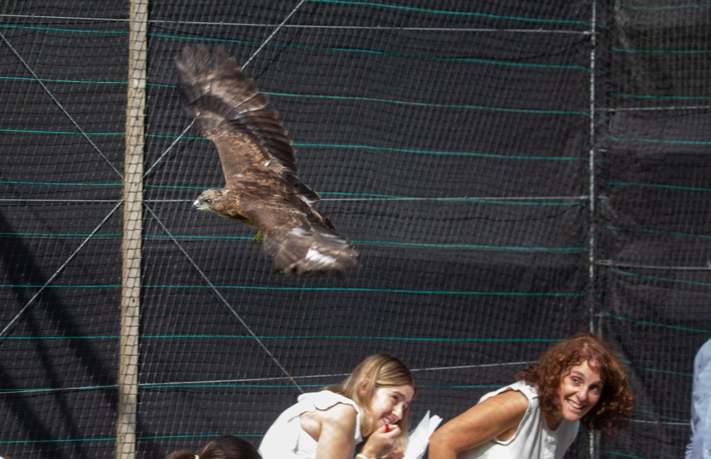 Dos mujeres se agachan para esquivar el vuelo de un ratonero en Basabizi. 