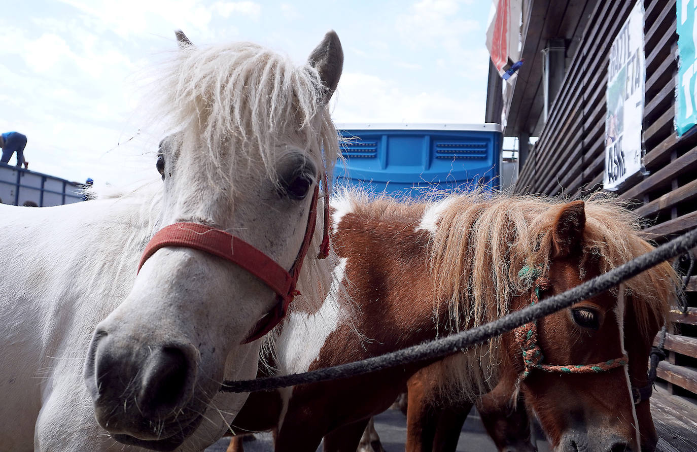 Fotos: Ekitaldiz jositako Xanistebanetako egun handia