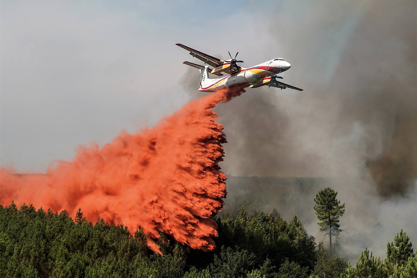 Un hidroavión francés trata de extinguir parte de las llamas del incendio declarado en la región de la GIronda.