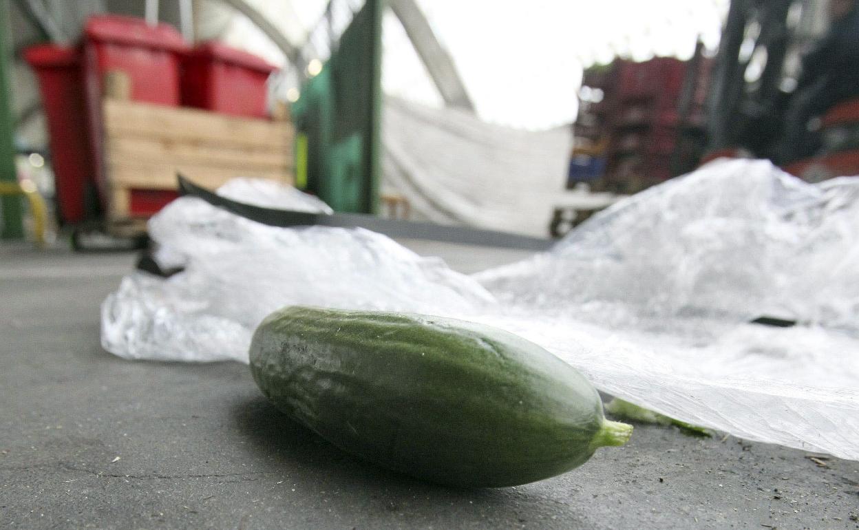 Alimento en el suelo.