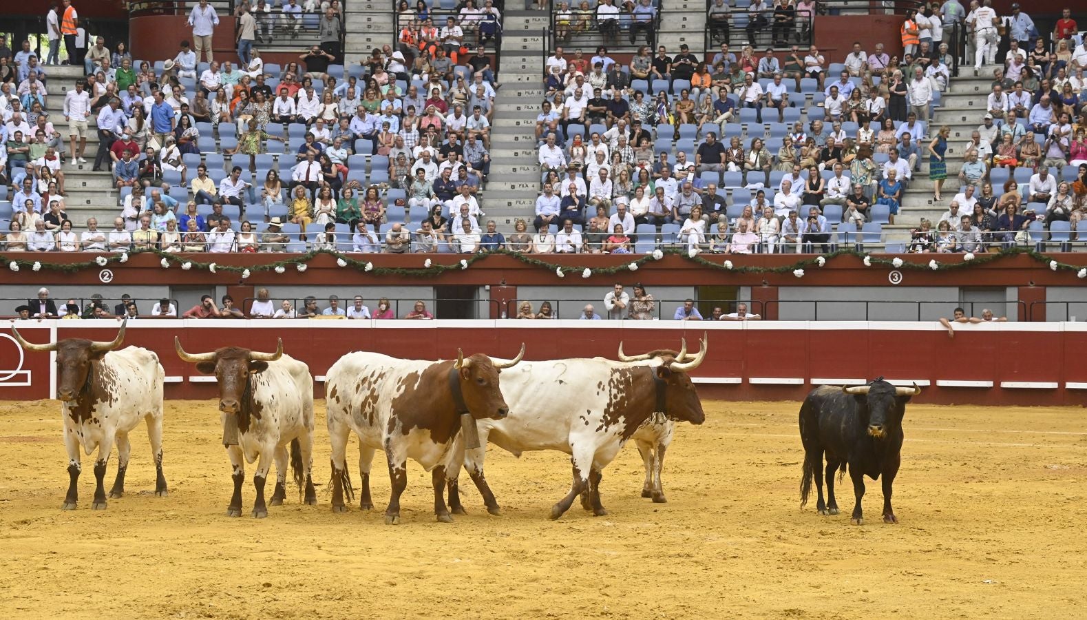 Fotos: Las imágenes de la primera corrida de la Semana Grande de San Sebastián