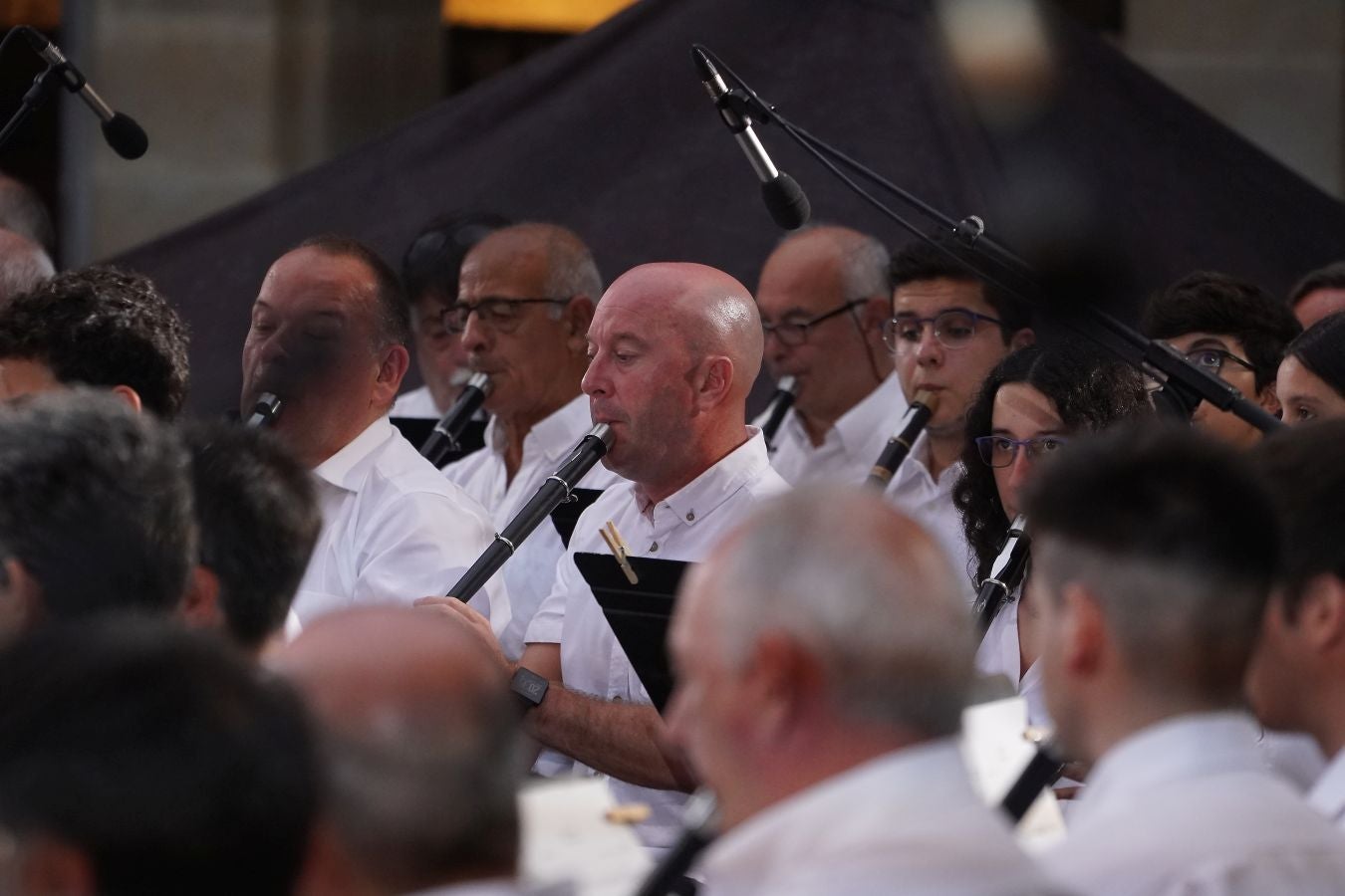 Fotos: Multitudinario Alarde de Txistularis