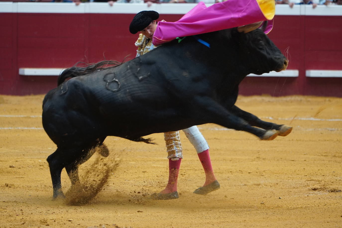 Fotos: Las imágenes de la última corrida de la Semana Grande de San Sebastián