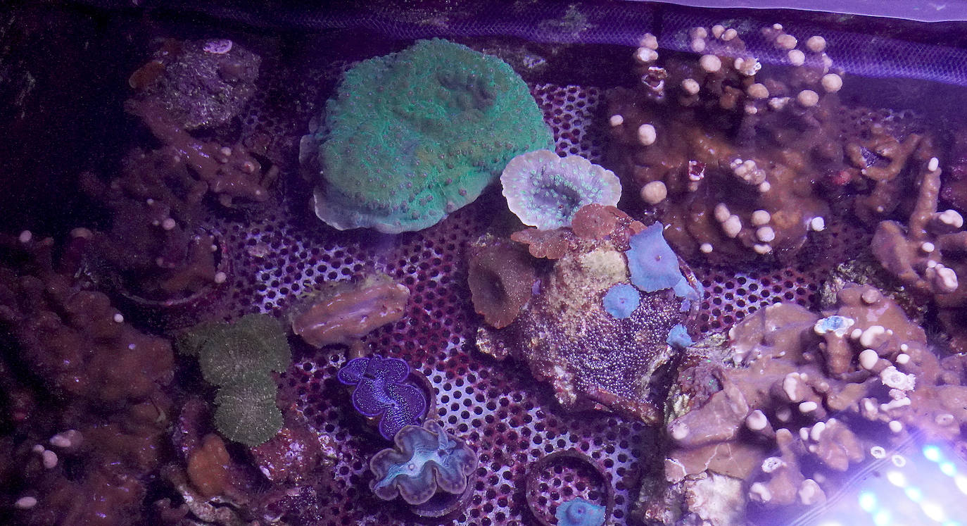 Fotos: Los secretos del Aquarium donostiarra