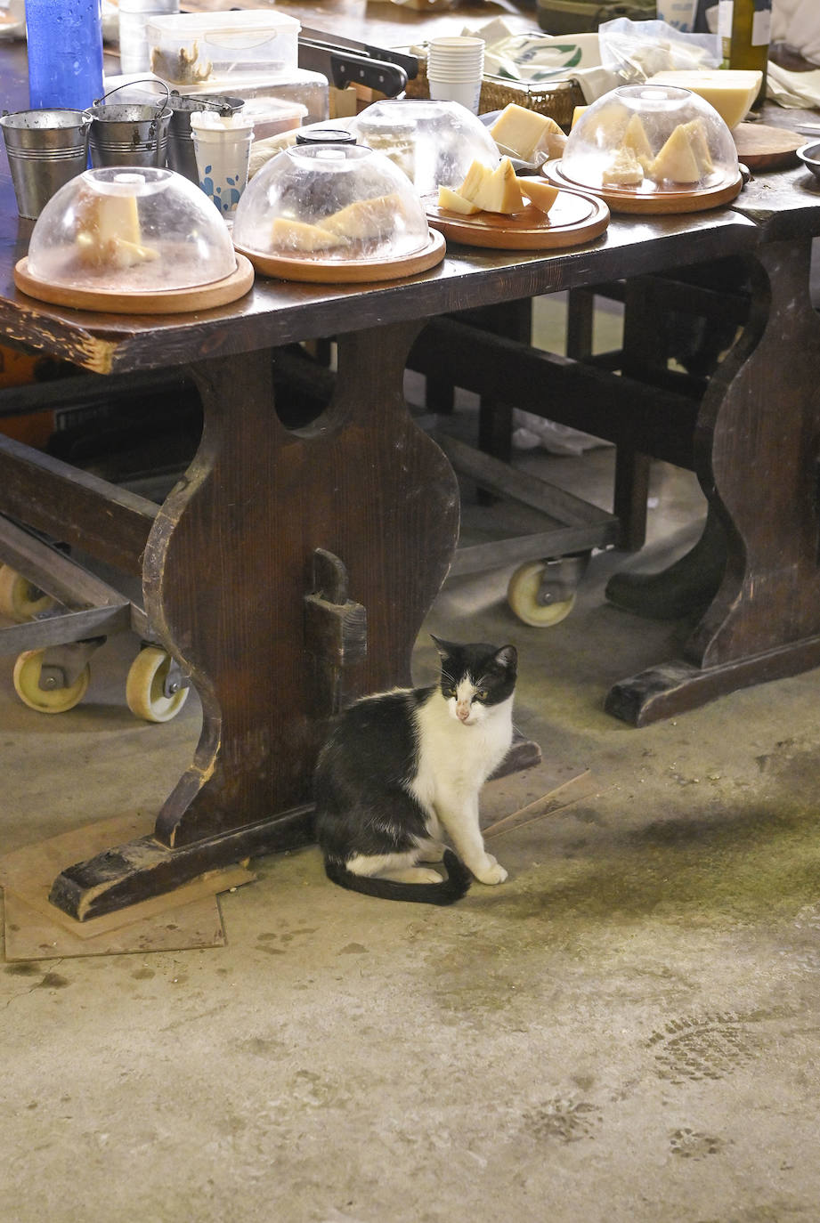 Fotos: El Idizabal como reclamo turístico