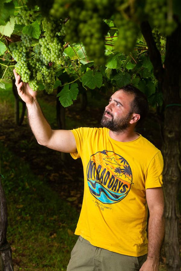 Fotos: Un txakoli de calidad y mayor graduación