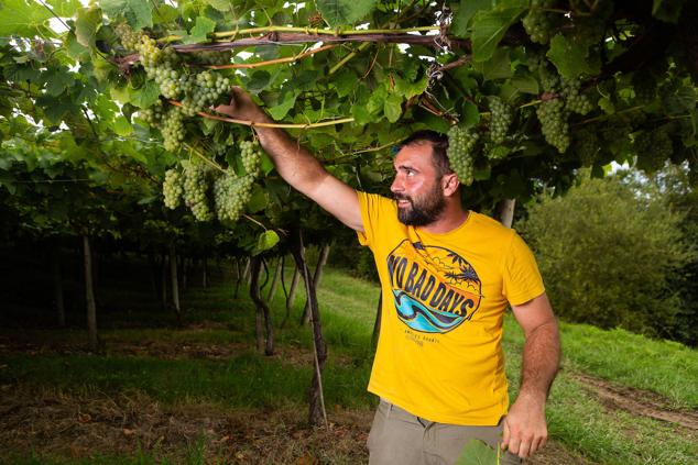 Fotos: Un txakoli de calidad y mayor graduación