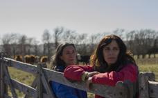 Amigas en un camino de campo / Friends on a country road