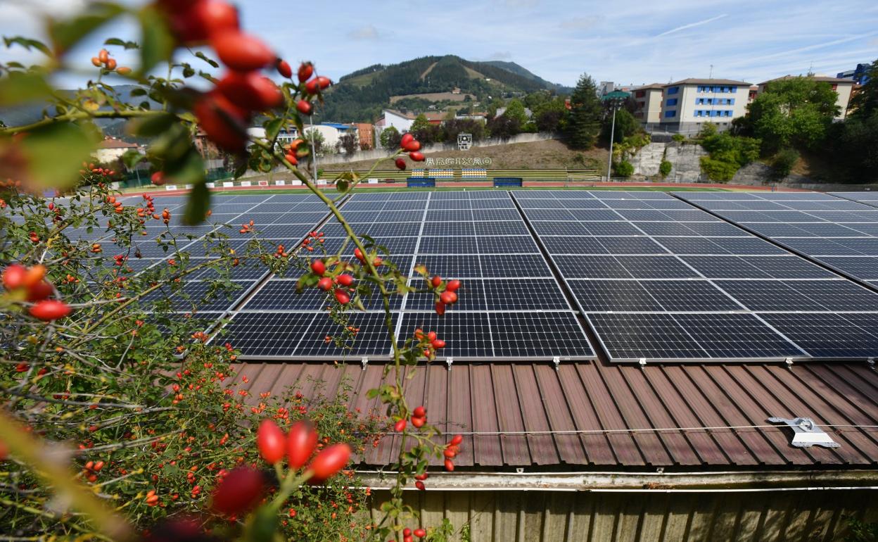 Paneles solares en el campo de fútbolde Zumarraga.