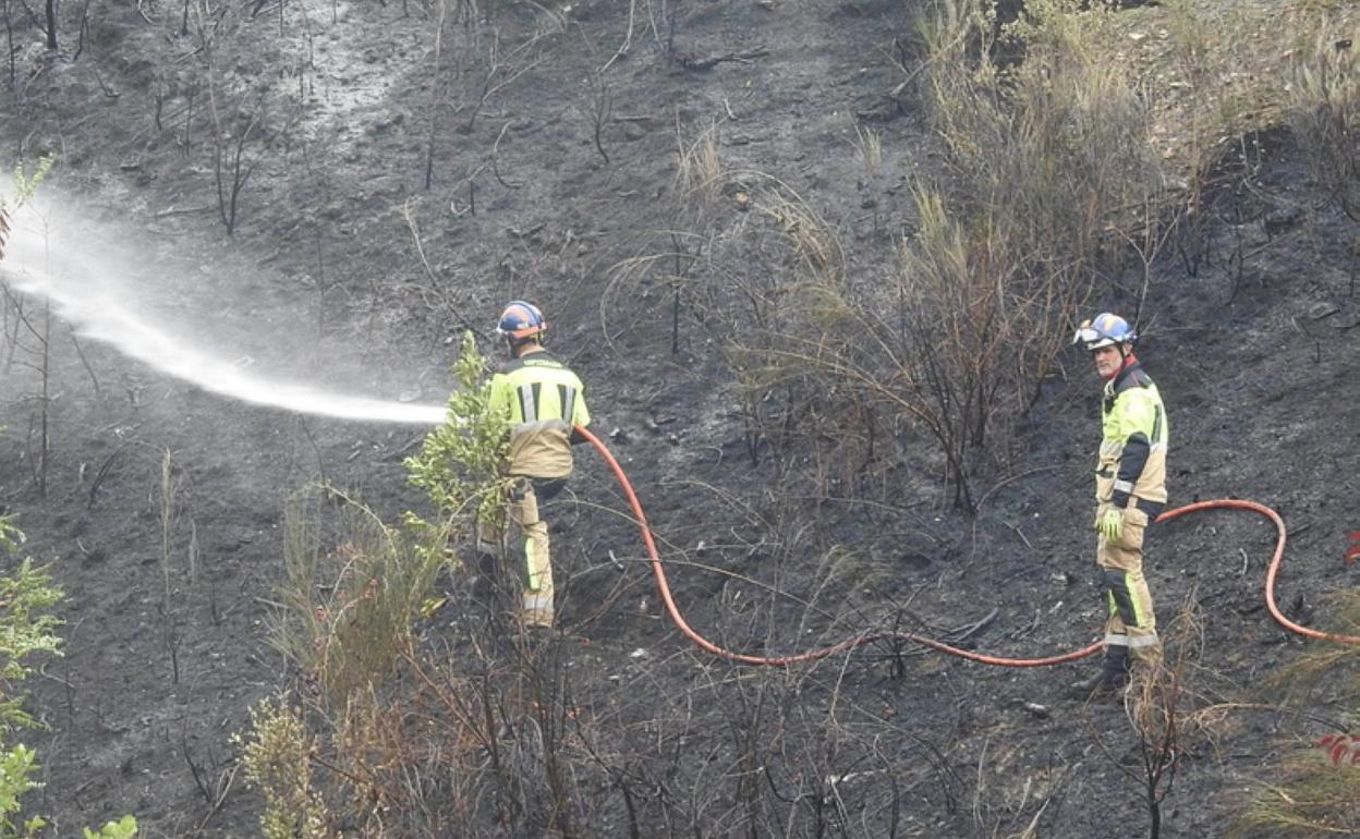 Los bomberos del parque de Zubillaga en plena actuación. 