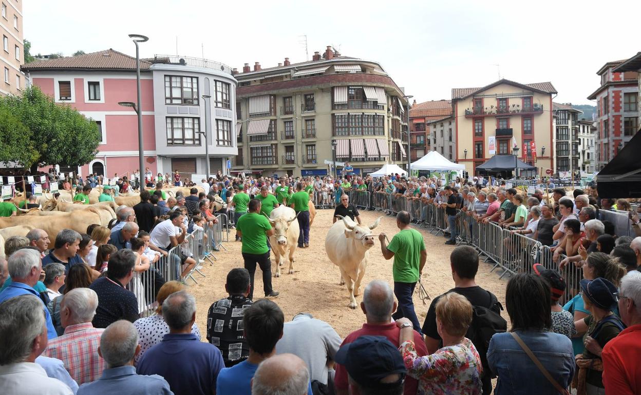 Una de las actividades de la Feria de Ordizia