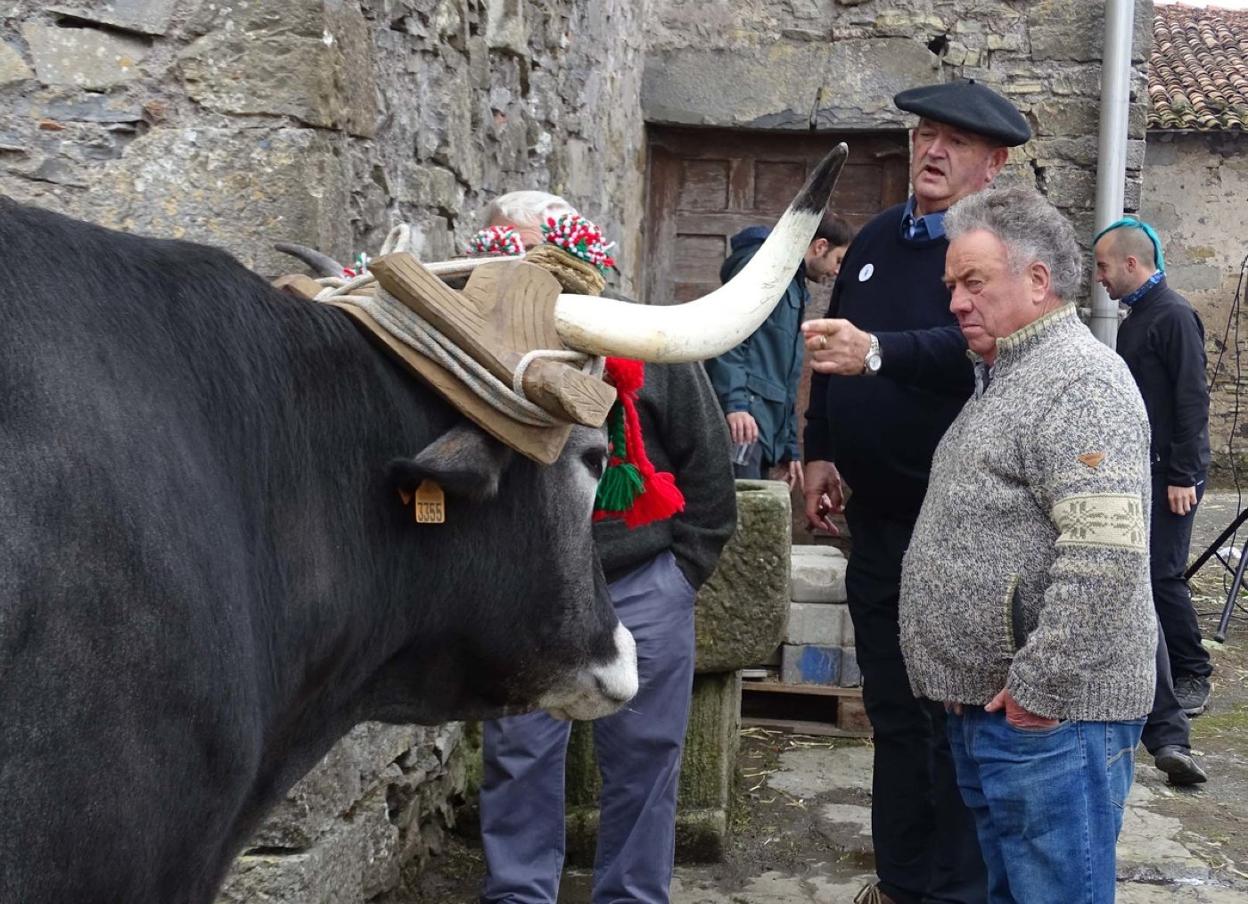 El encuentro ferial resurgió en 1979 especializado en ganado de montaña para la producción de carne. 