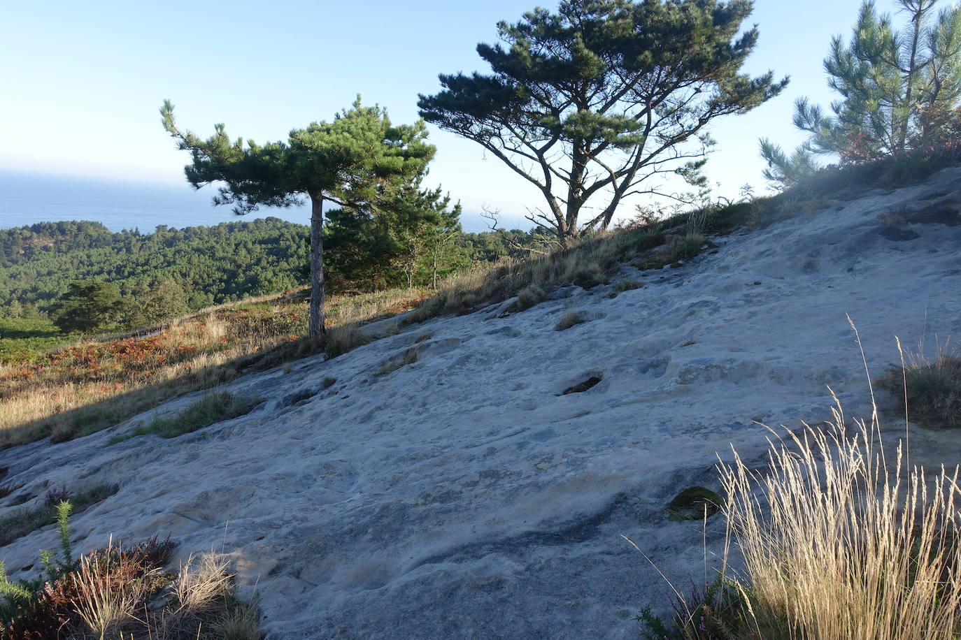 Fotos: Labetxu, el bello valle de los colores