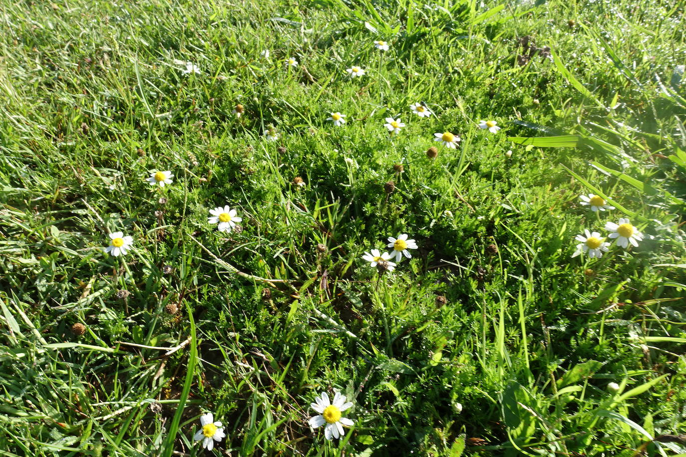 Fotos: Labetxu, el bello valle de los colores