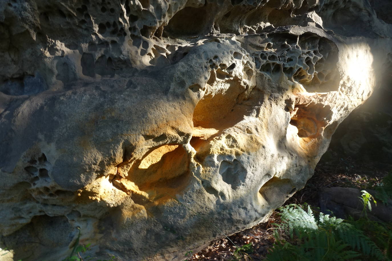Fotos: Labetxu, el bello valle de los colores