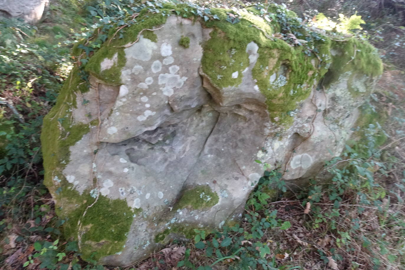 Fotos: Labetxu, el bello valle de los colores