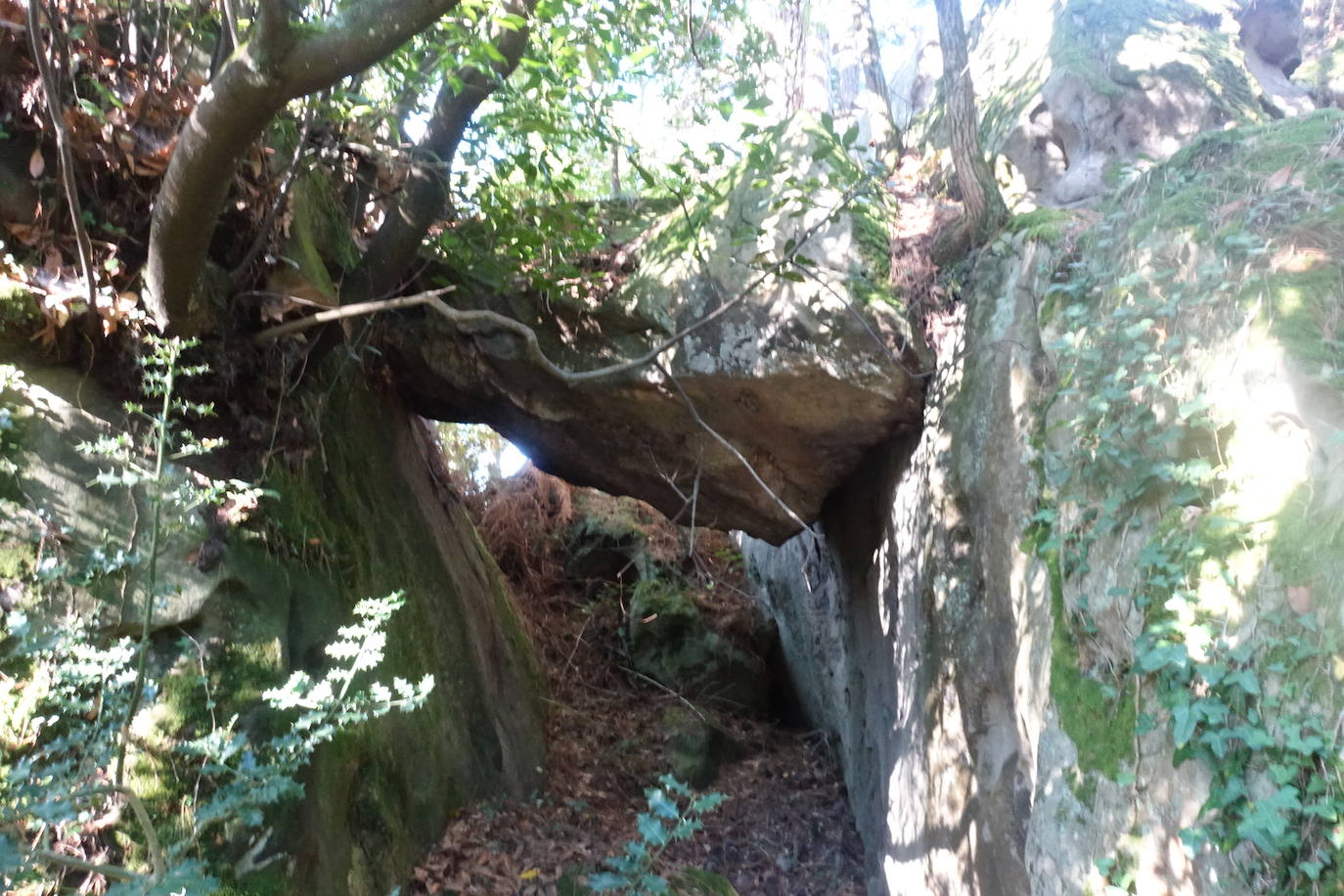 Fotos: Labetxu, el bello valle de los colores