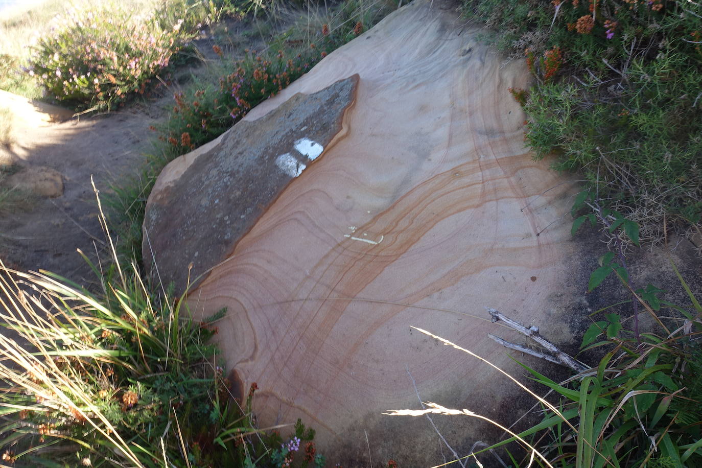 Fotos: Labetxu, el bello valle de los colores