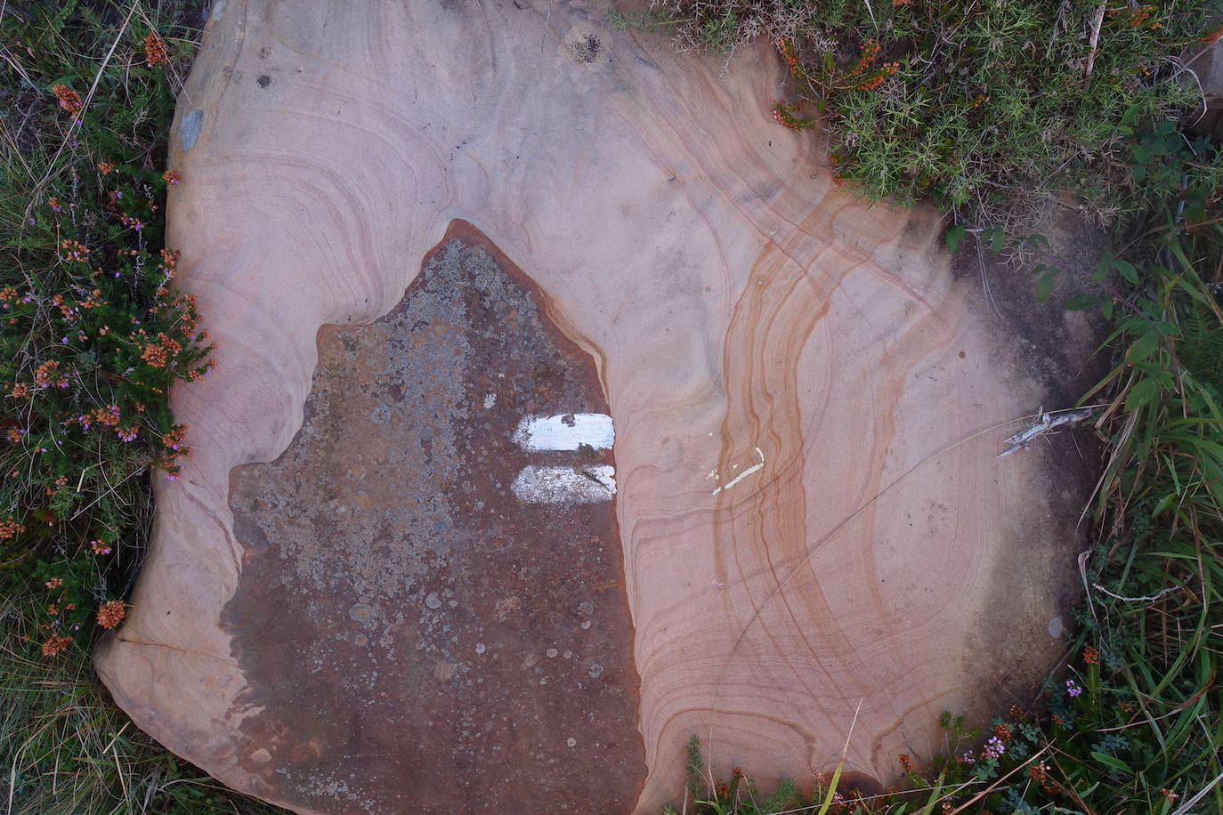 Fotos: Labetxu, el bello valle de los colores