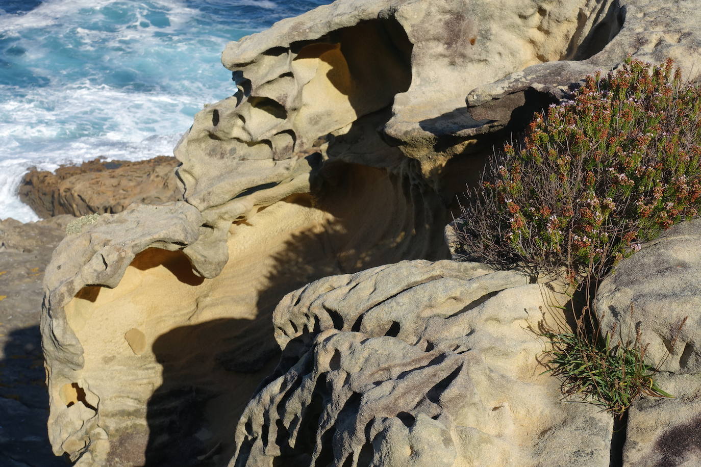 Fotos: Labetxu, el bello valle de los colores