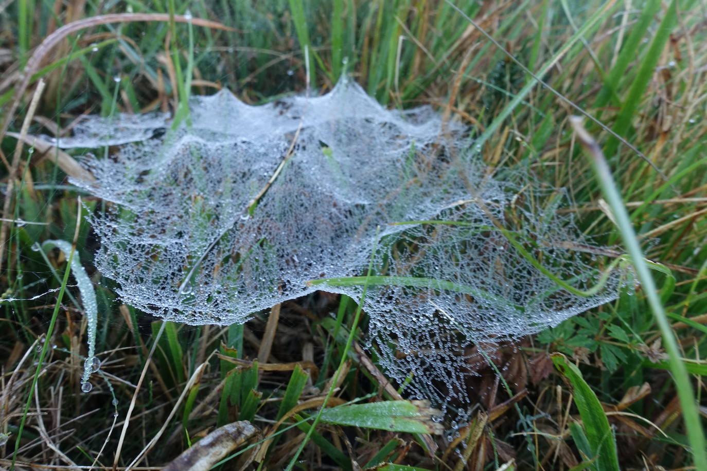 Fotos: Labetxu, el bello valle de los colores