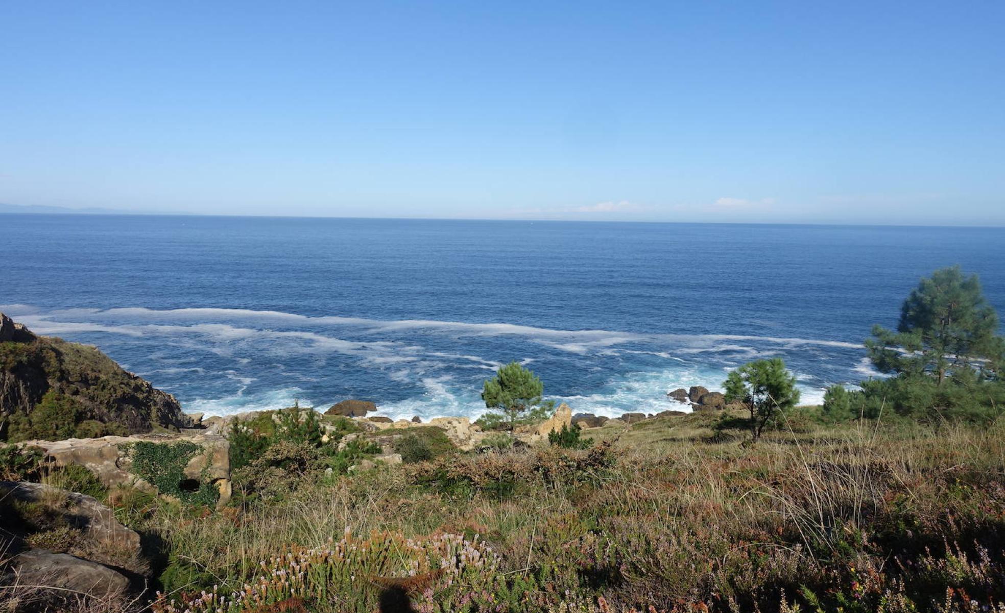 Rojos, verdes, azules... destacan en la paleta de colores que nos ecnontramos en Labetxu. 