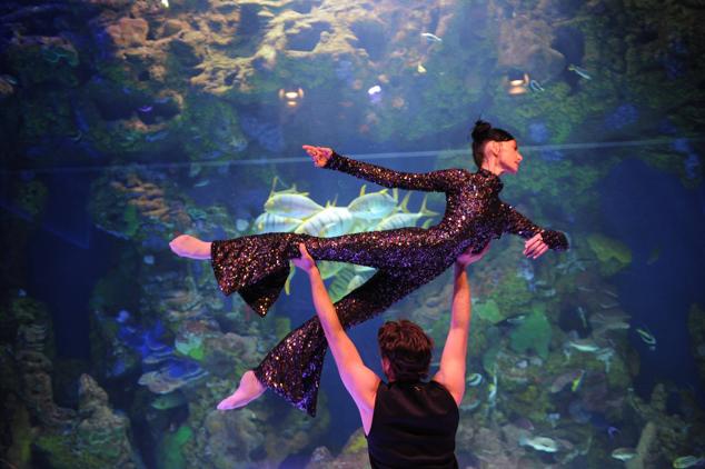 Fotos: &#039;Inmesión&#039;, una exposición en el Aquarium para reflexionar sobre la mar