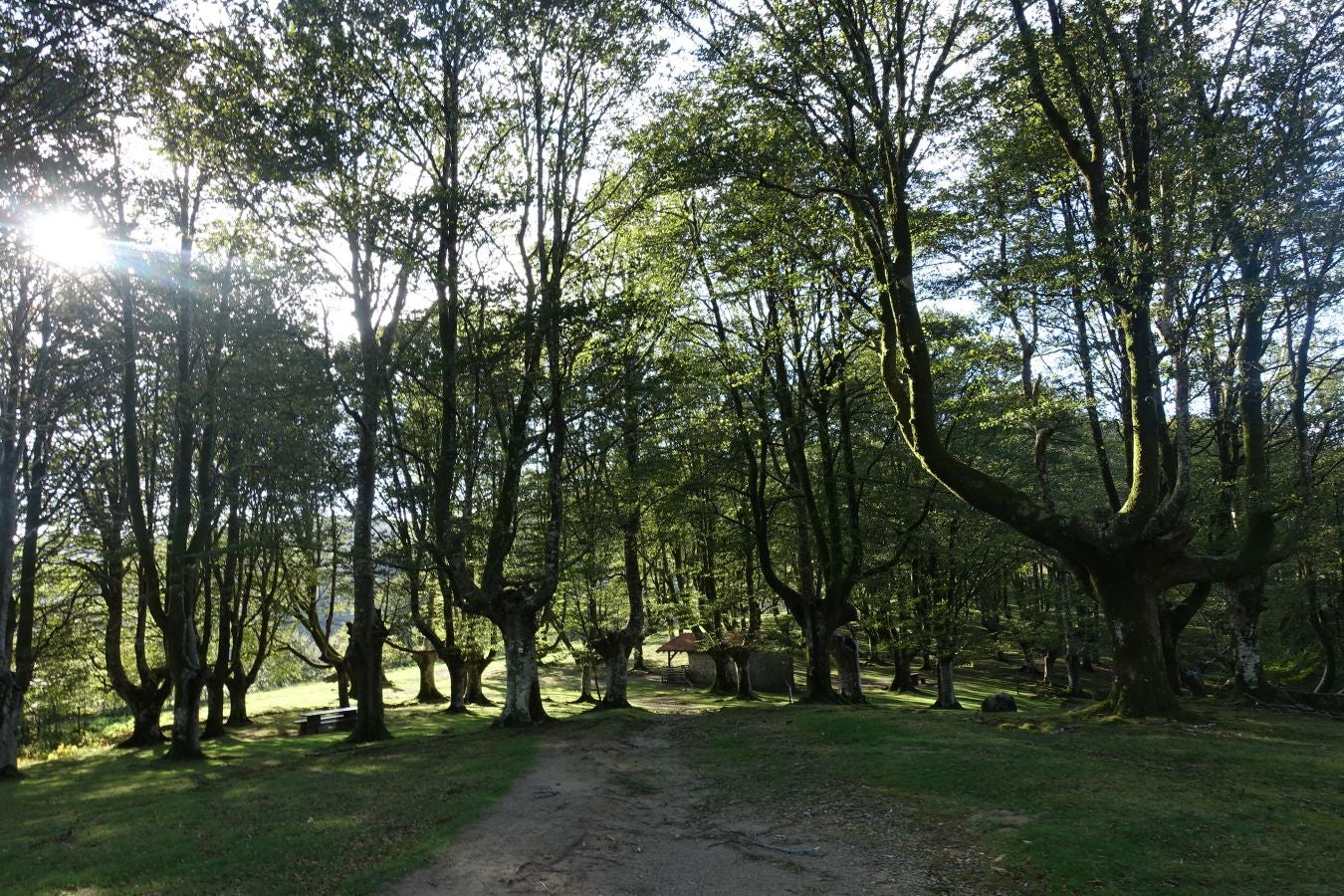 Fotos: Ruta a Basate pasando por el crómlech de Oianleku