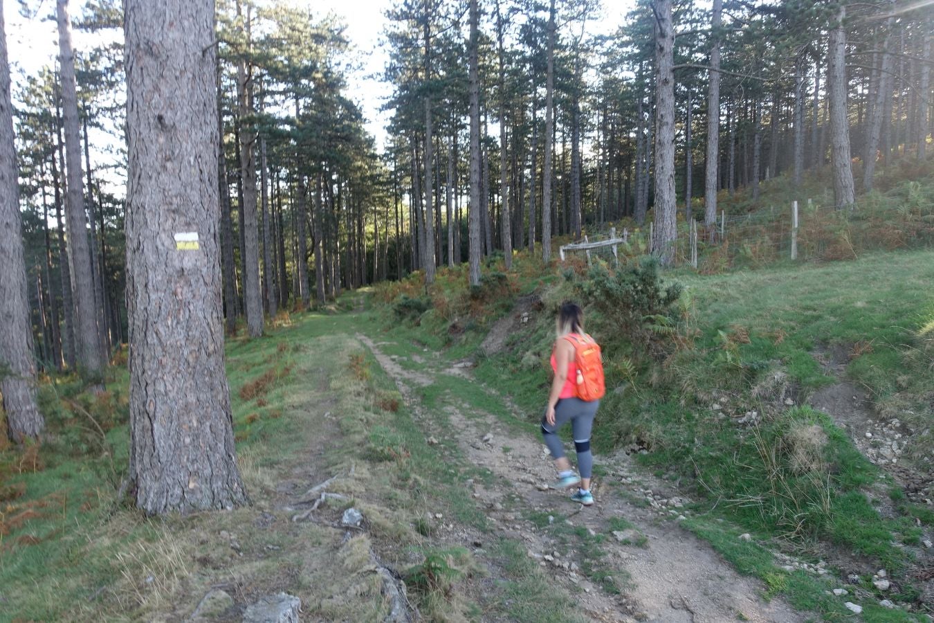 Fotos: Ruta a Basate pasando por el crómlech de Oianleku